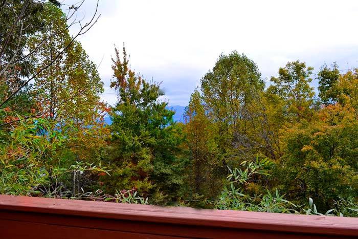 Lover'S Loft Gatlinburg Exteriér fotografie